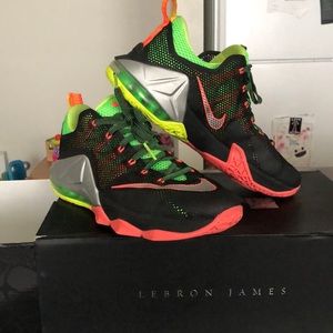 Lebron James the twelve shoes